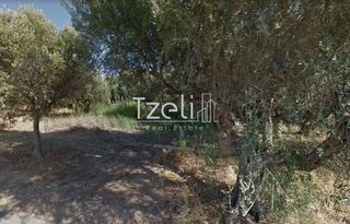 Αγροτεμάχια 1.050 τ.μ. για πώληση, Αχαΐα, Ρίο-thumb-8