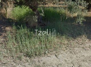 Αγροτεμάχια 1.050 τ.μ. για πώληση, Αχαΐα, Ρίο-thumb-27