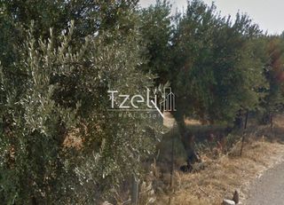 Αγροτεμάχια 1.050 τ.μ. για πώληση, Αχαΐα, Ρίο-thumb-13