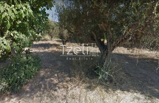 Αγροτεμάχια 1.050 τ.μ. για πώληση