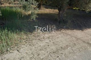 Αγροτεμάχια 1.050 τ.μ. για πώληση, Αχαΐα, Ρίο-thumb-22