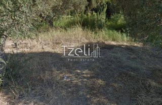 Αγροτεμάχια 1.050 τ.μ. για πώληση, Αχαΐα, Ρίο-thumb-9