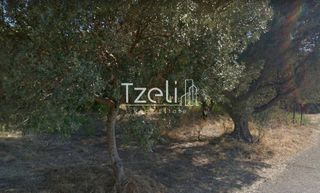 Αγροτεμάχια 1.050 τ.μ. για πώληση, Αχαΐα, Ρίο-thumb-29