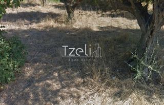 Αγροτεμάχια 1.050 τ.μ. για πώληση, Αχαΐα, Ρίο-thumb-5