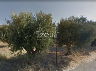 Αγροτεμάχια 1.050 τ.μ. για πώληση, Αχαΐα, Ρίο-thumb-3