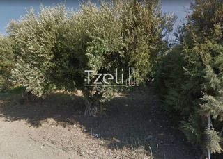 Αγροτεμάχια 1.050 τ.μ. για πώληση, Αχαΐα, Ρίο-thumb-12