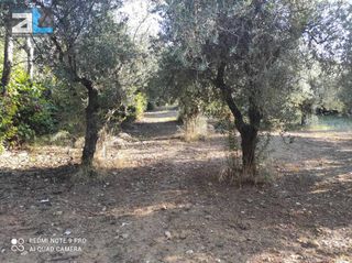 Οικόπεδο 2.000 τ.μ. για πώληση, Αχαΐα, Παραλία-thumb-7