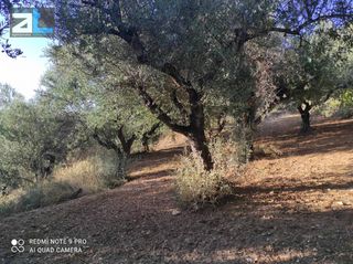Οικόπεδο 2.000 τ.μ. για πώληση, Αχαΐα, Παραλία-thumb-3