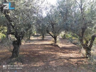 Οικόπεδο 2.000 τ.μ. για πώληση, Αχαΐα, Παραλία-thumb-8