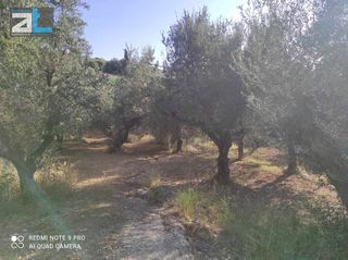 Οικόπεδο 2.000 τ.μ. για πώληση