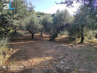 Οικόπεδο 2.000 τ.μ. για πώληση, Αχαΐα, Παραλία-thumb-4