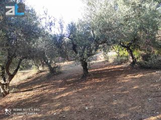 Οικόπεδο 2.000 τ.μ. για πώληση, Αχαΐα, Παραλία-thumb-2