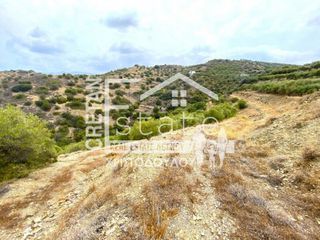 Αγροτεμάχια 9.000 τ.μ. για πώληση, Ν. Λασιθίου, Σητεία-thumb-2