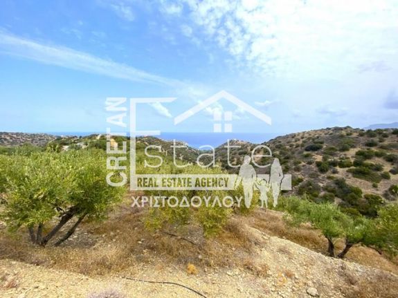 Αγροτεμάχια 9.000 τ.μ. για πώληση, Ν. Λασιθίου, Σητεία