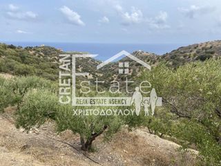 Αγροτεμάχια 9.000 τ.μ. για πώληση, Ν. Λασιθίου, Σητεία-thumb-1
