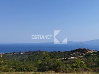 Αγροτεμάχια 4.750 τ.μ. πρός πώληση