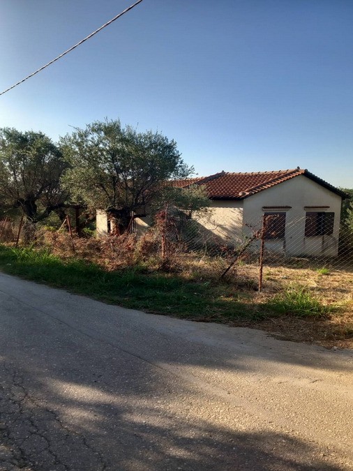Οικόπεδο 1.350 τ.μ. πρός πώληση, Αχαΐα, Δυτικής Αχαΐας