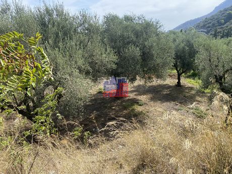 Οικόπεδο 1.581 τ.μ. για πώληση