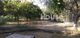 Οικόπεδο 3.250 τ.μ. προς πώληση, Ρογίτικα-thumb-12