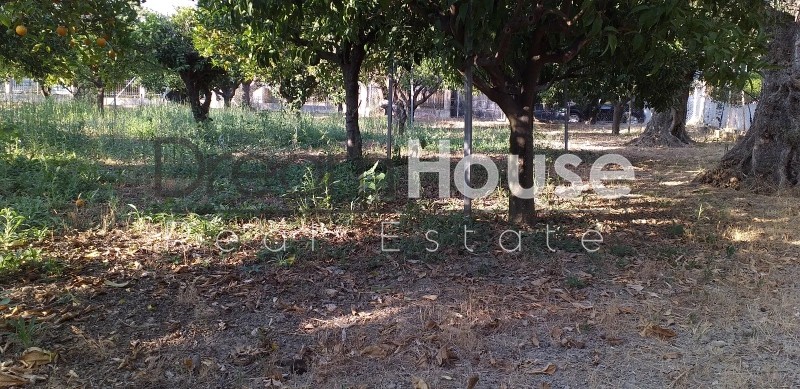 Οικόπεδο 3.250 τ.μ. προς πώληση, Ρογίτικα