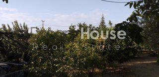 Οικόπεδο 3.250 τ.μ. προς πώληση, Ρογίτικα-thumb-11