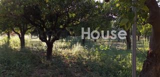 Οικόπεδο 3.250 τ.μ. προς πώληση, Ρογίτικα-thumb-3
