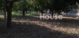 Οικόπεδο 3.250 τ.μ. για πώληση