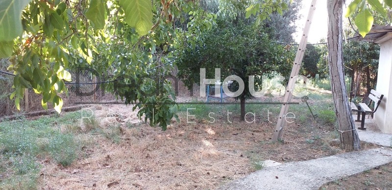 Οικόπεδο 3.250 τ.μ. προς πώληση, Ρογίτικα