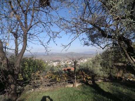Μονοκατοικία 100τ.μ. για πώληση-Βαγιές » Βαγιά