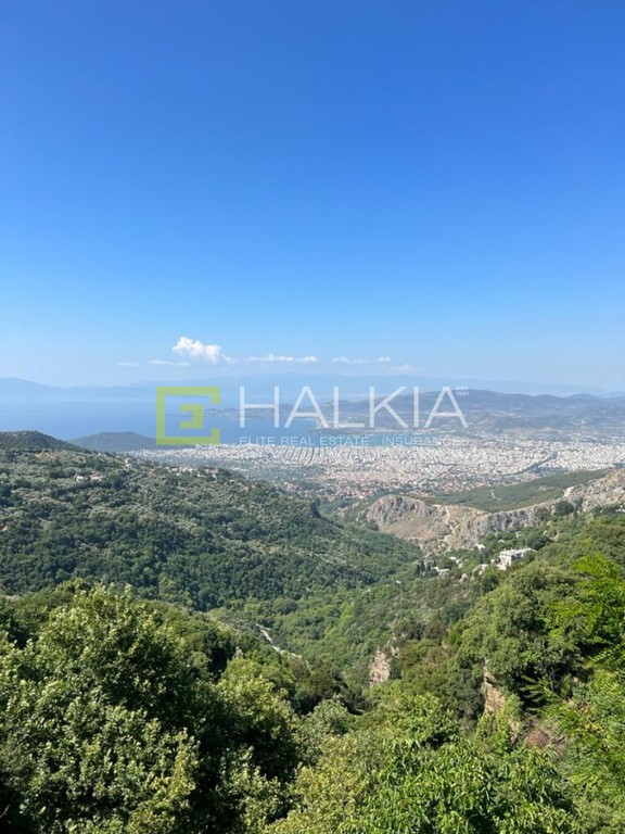 Μονοκατοικία 65 τ.μ. πρός ενοικίαση, Μαγνησία, Μακρινίτσα