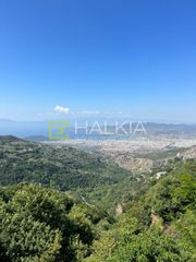 Μονοκατοικία 65 τ.μ. για ενοικίαση
