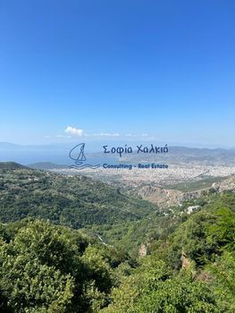 Μονοκατοικία 65τ.μ. για ενοικίαση-Μακρινίτσα » Κέντρο