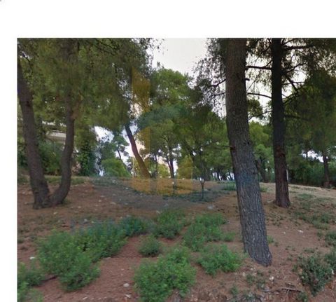 Land plot 1.200 sqm for sale, Athens - North, Ekali