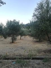 Οικόπεδο 828 τ.μ. για πώληση, Αχαΐα, Αιγιάλεια-thumb-2