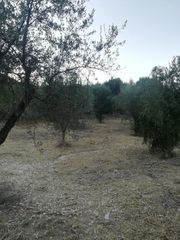 Οικόπεδο 828 τ.μ. για πώληση, Αχαΐα, Αιγιάλεια-thumb-1