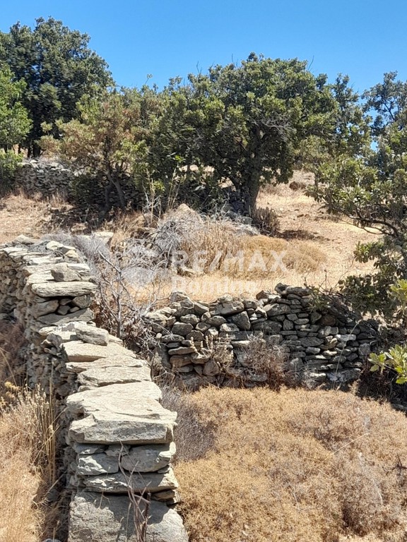 Αγροτεμάχια 8.058 τ.μ. προς πώληση, Κάτω Μεριά