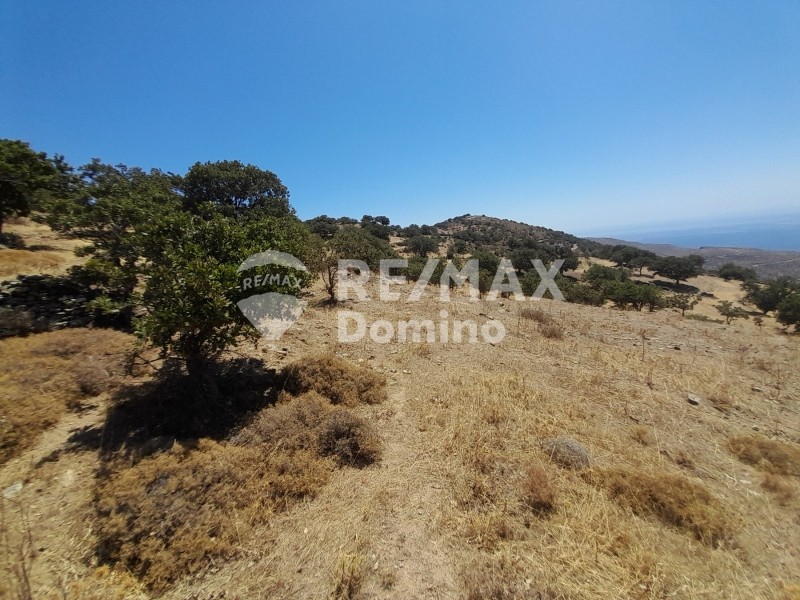 Αγροτεμάχια 8.058 τ.μ. προς πώληση, Κάτω Μεριά