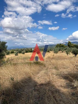 Οικόπεδο 4.000 τ.μ. για πώληση, Εύβοια, Δίρφυς