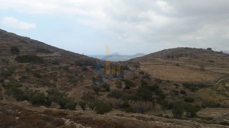 Οικόπεδο 7.220 τ.μ. για πώληση