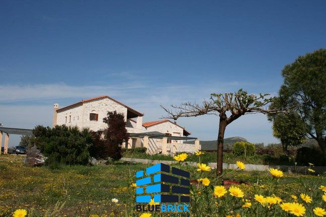 Βίλλα 600 τ.μ. για ενοικίαση, Αττική - Υπόλοιπο, Κερατέα