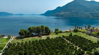 Αγροτεμάχια 15.000 τ.μ. για πώληση