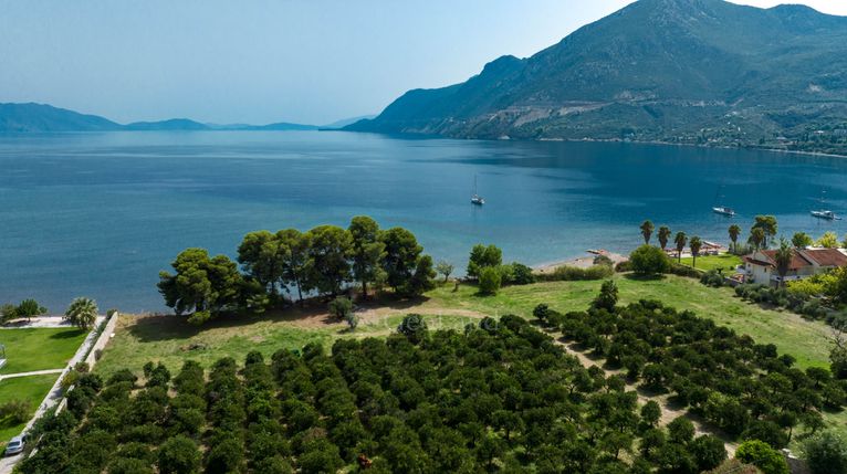 Parcel 15.000 sqm for sale, Argolis, Epidavros