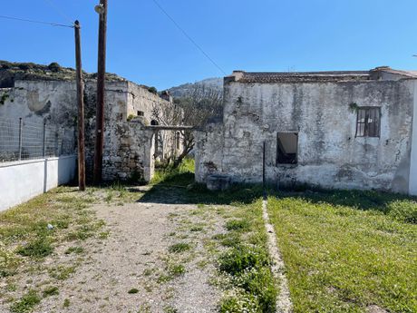 Αγροτεμάχια 24.000 τ.μ. προς πώληση