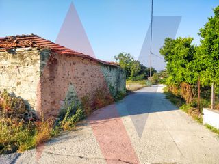 Οικόπεδο 5.043 τ.μ. πρός πώληση, Μαγνησία, Αρτέμιδα-thumb-13
