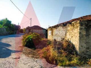 Οικόπεδο 5.043 τ.μ. πρός πώληση, Μαγνησία, Αρτέμιδα-thumb-14