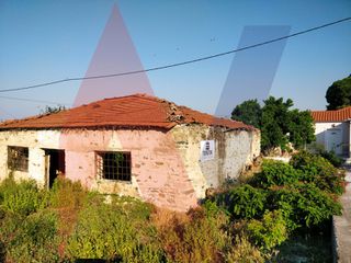 Οικόπεδο 5.043 τ.μ. πρός πώληση, Μαγνησία, Αρτέμιδα-thumb-11