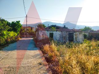 Οικόπεδο 5.043 τ.μ. πρός πώληση, Μαγνησία, Αρτέμιδα-thumb-16