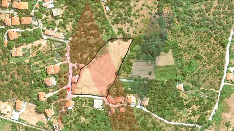 Οικόπεδο 5.043τ.μ. για πώληση-Αρτέμιδα » Κάτω λεχώνια