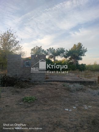 Οικόπεδο 400 τ.μ. για πώληση, Ν. Ηλείας, Πύργος