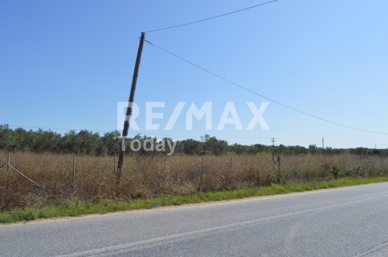 Αγροτεμάχια 3.000 τ.μ. προς πώληση, Λεύκες Επανομής